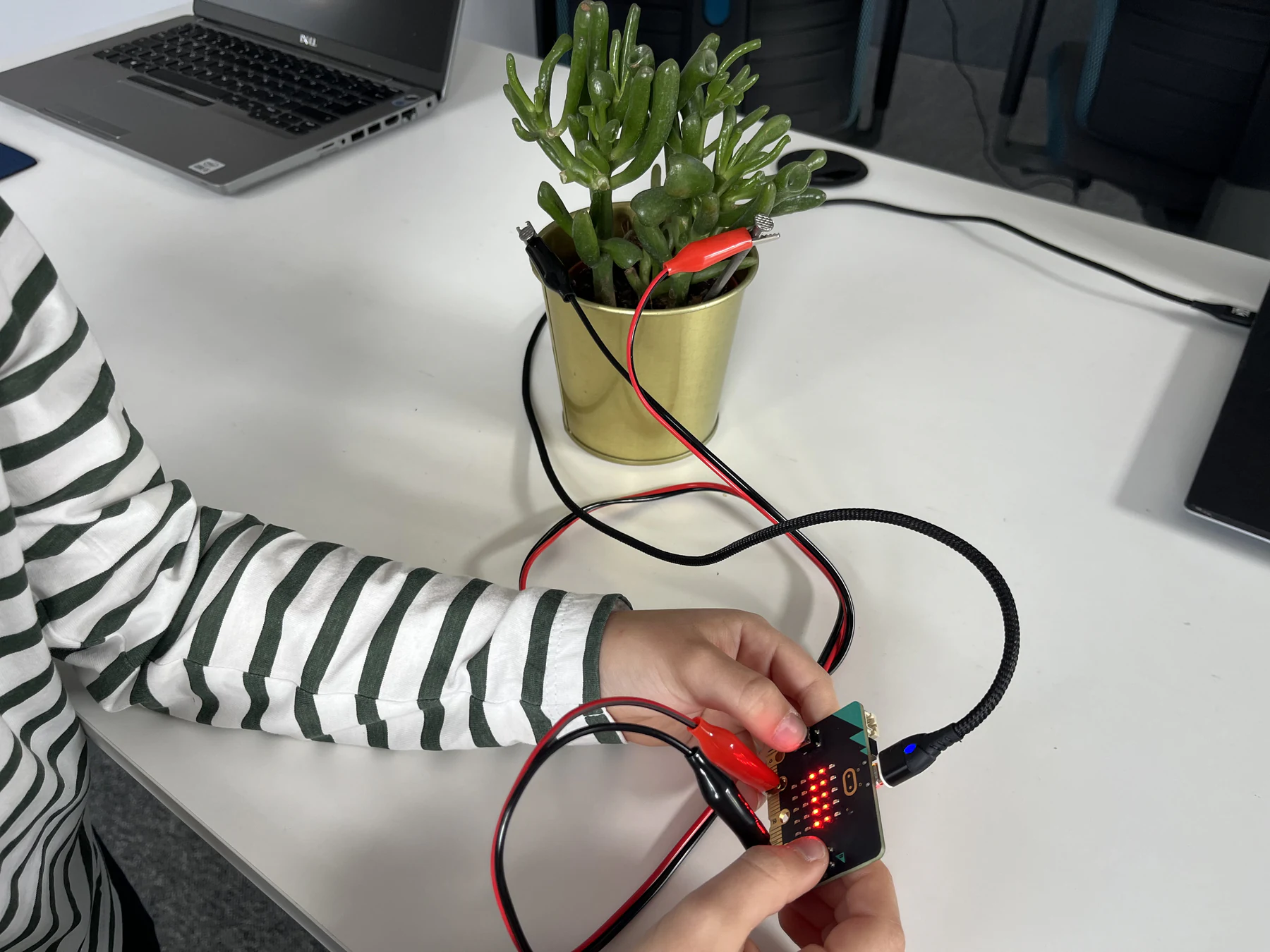 Eksperyment z micro:bit i badaniem wilgotności gleby
